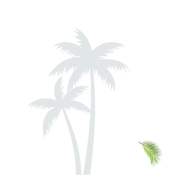 Pam Hotels Where Comfort Meets Elegance